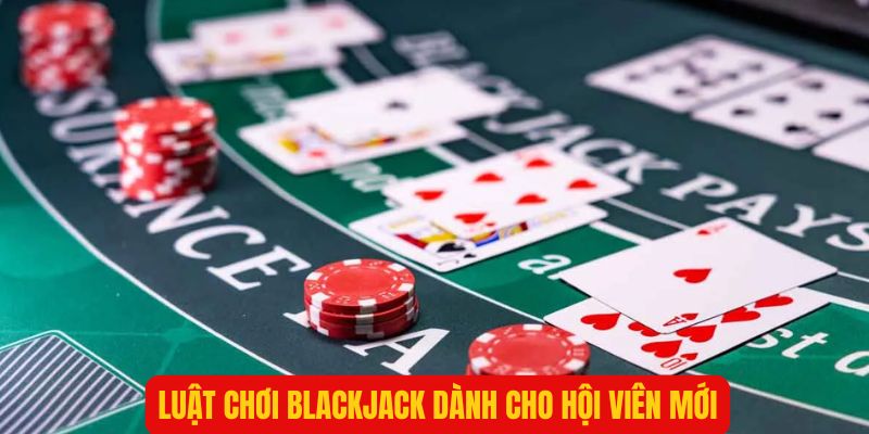 Tổng hợp các luật chơi Blackjack dành cho người mới